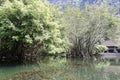 Temple in a paradise natural place near the river and trees in Tam Coc park also called the Ha Long terrestrial bay Royalty Free Stock Photo